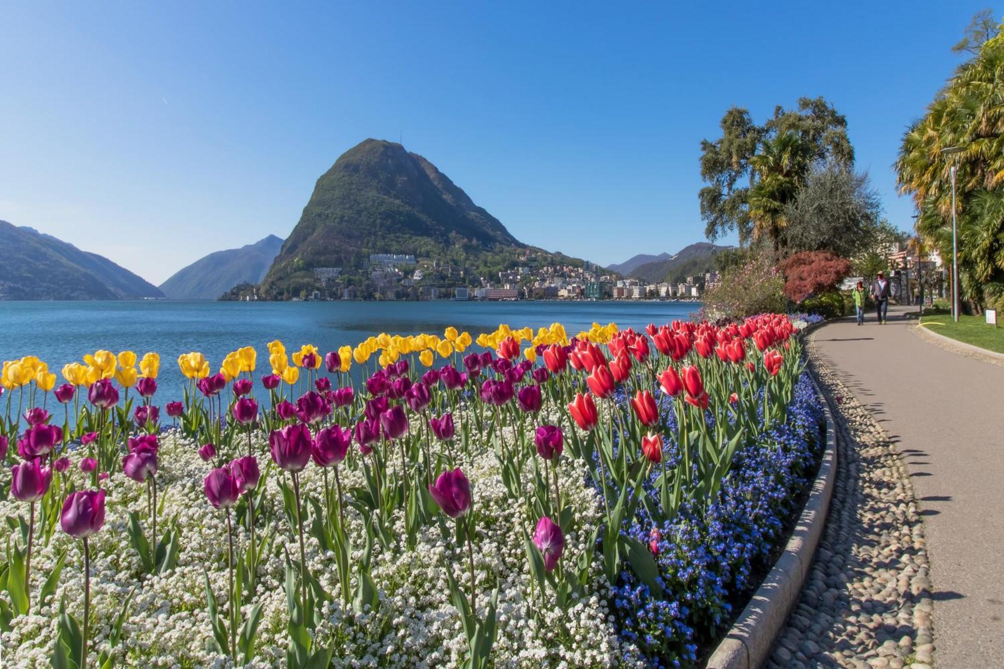 Nice Apartment - Happy Rentals Lugano Exterior photo